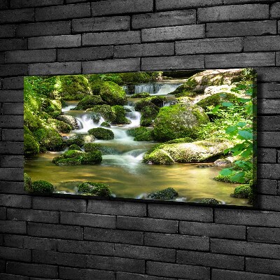 Tableau photo sur toile Chute d'eau