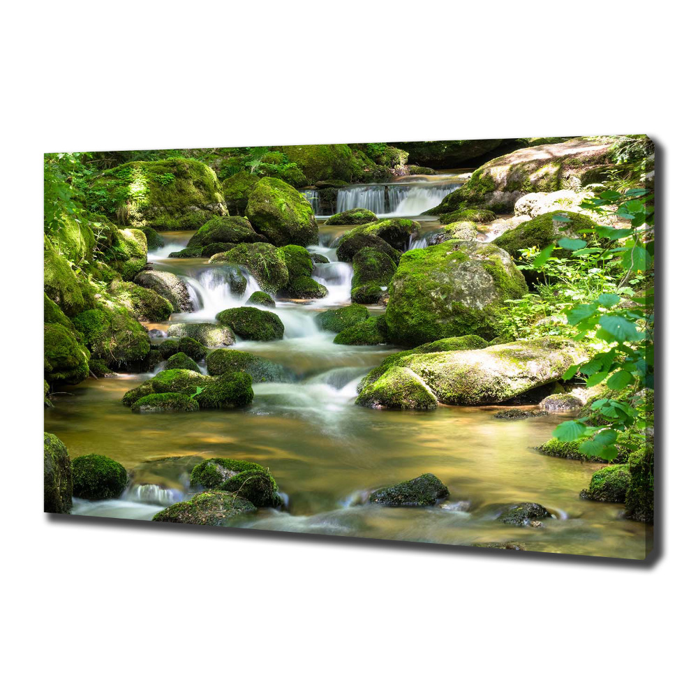 Tableau photo sur toile Chute d'eau