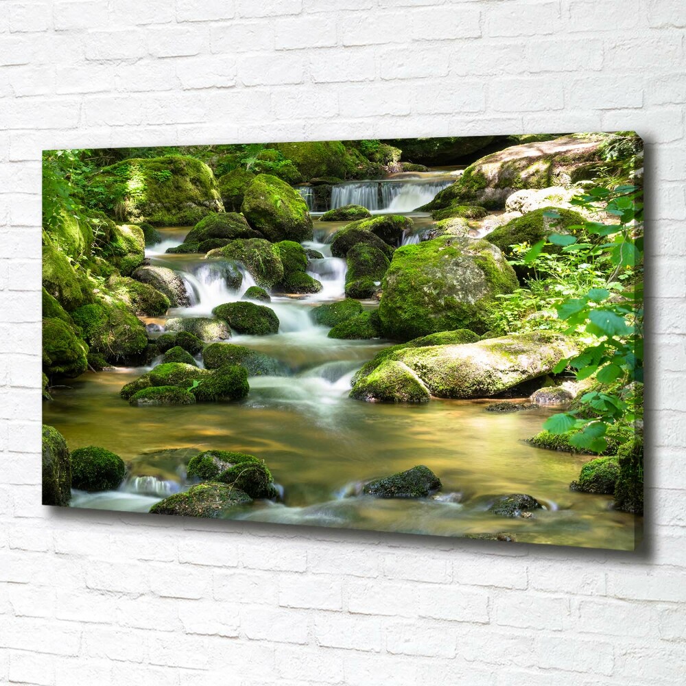 Tableau photo sur toile Chute d'eau