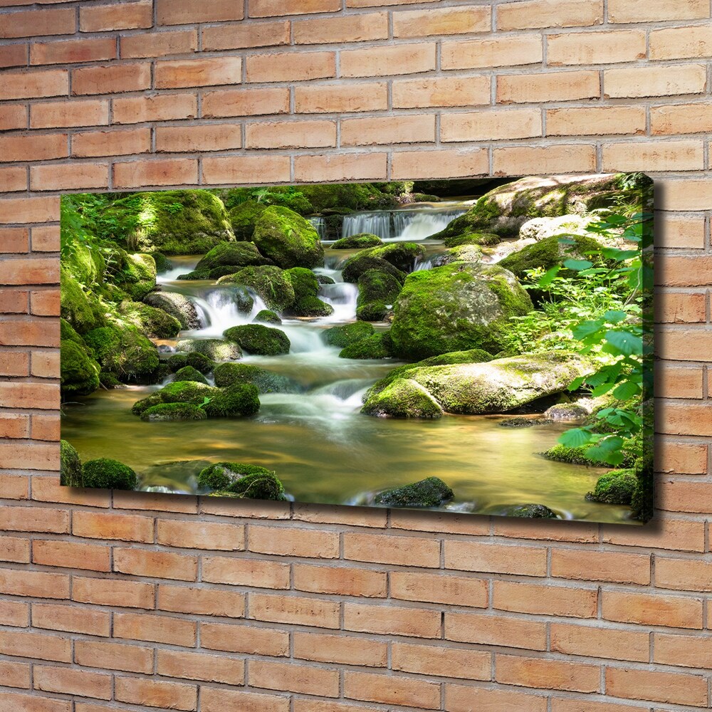 Tableau photo sur toile Chute d'eau