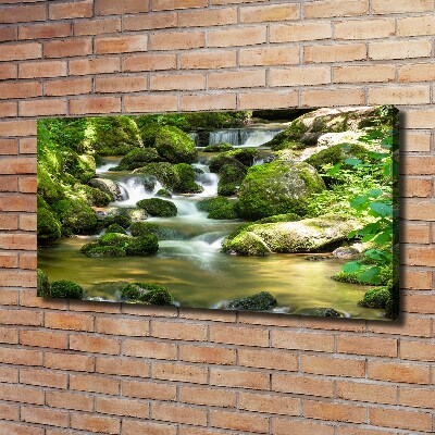 Tableau photo sur toile Chute d'eau