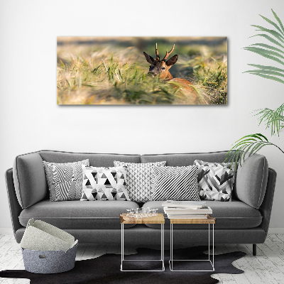 Tableau photo sur toile Cerf dans le champ