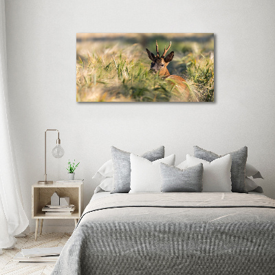 Tableau photo sur toile Cerf dans le champ