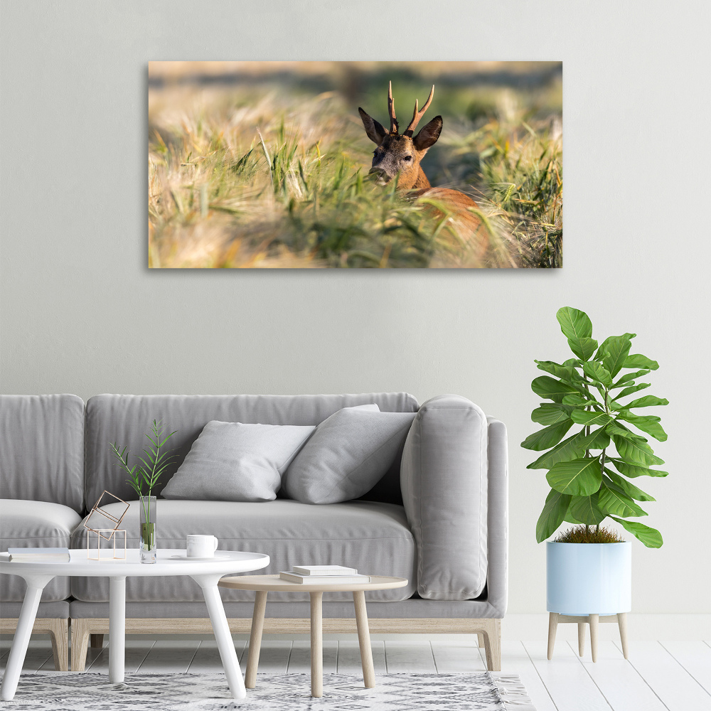 Tableau photo sur toile Cerf dans le champ