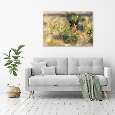 Tableau photo sur toile Cerf dans le champ