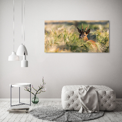 Tableau photo sur toile Cerf dans le champ