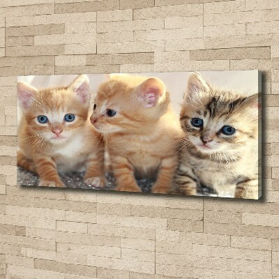 Tableau sur toile Petits chats