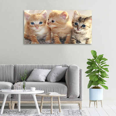 Tableau sur toile Petits chats