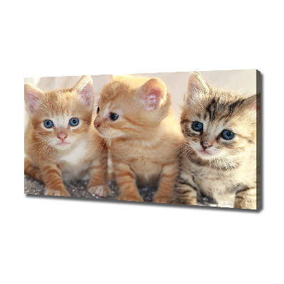 Tableau sur toile Petits chats