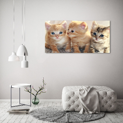 Tableau sur toile Petits chats