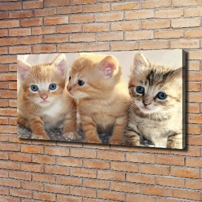 Tableau sur toile Petits chats