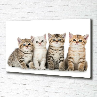 Tableau toile imprimée Petits chats