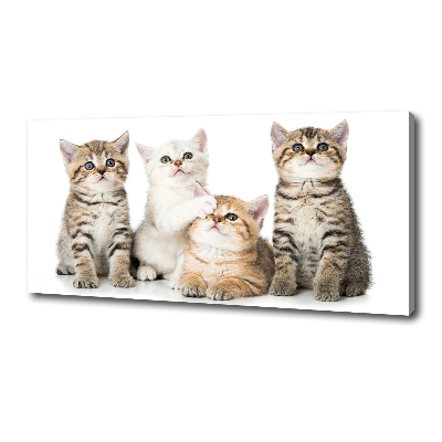 Tableau mural sur toile Petits chats