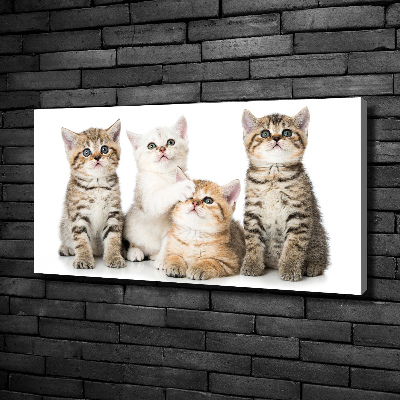 Tableau mural sur toile Petits chats