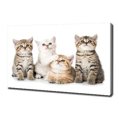 Tableau mural sur toile Petits chats