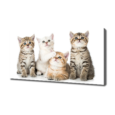 Tableau mural sur toile Petits chats