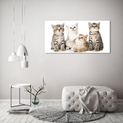 Tableau mural sur toile Petits chats