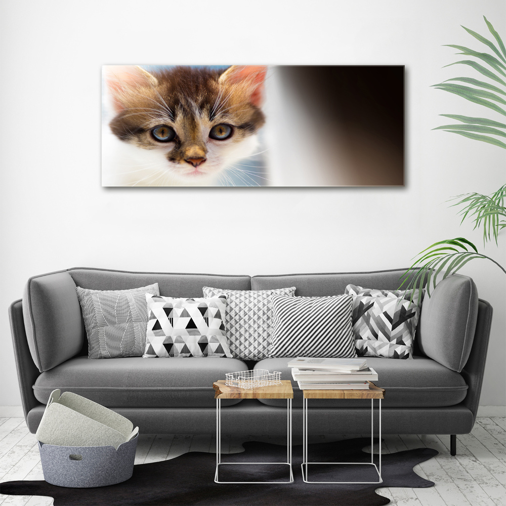 Tableau mural sur toile Petit chat