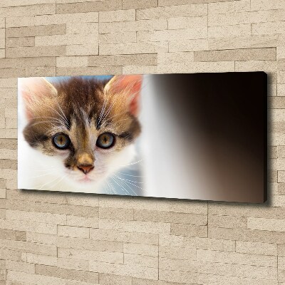 Tableau mural sur toile Petit chat