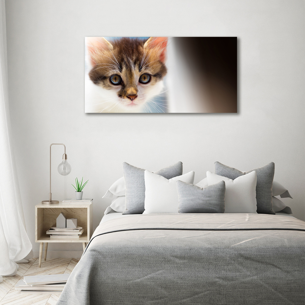 Tableau mural sur toile Petit chat