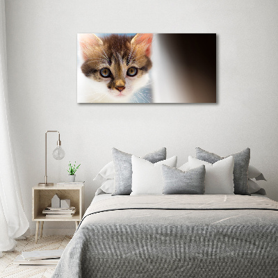 Tableau mural sur toile Petit chat