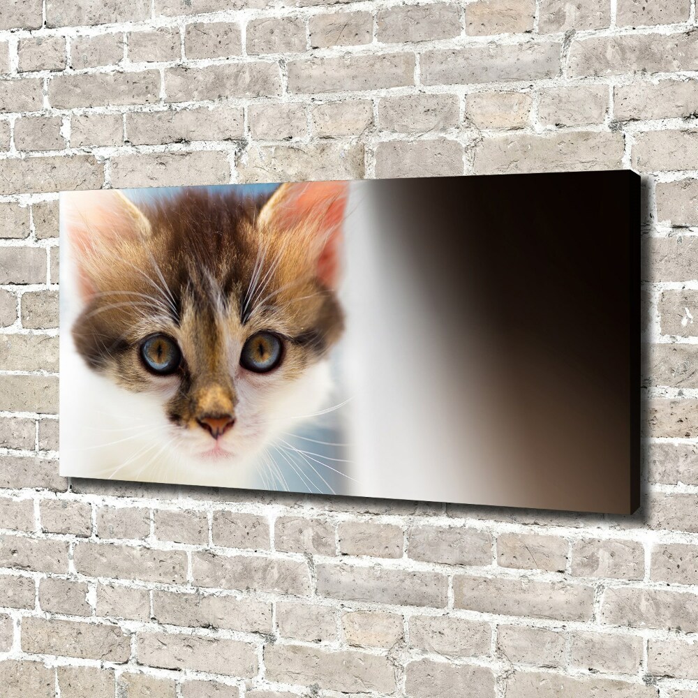 Tableau mural sur toile Petit chat