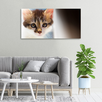 Tableau mural sur toile Petit chat