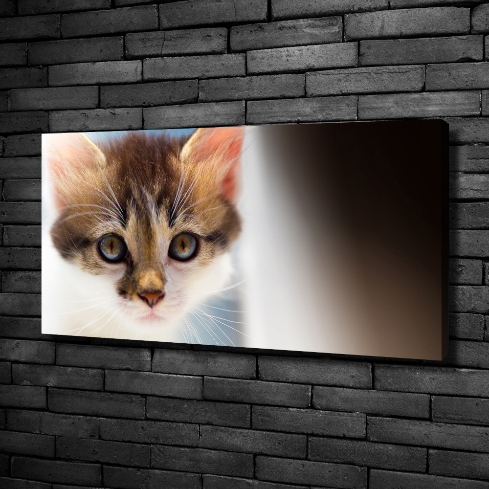 Tableau mural sur toile Petit chat