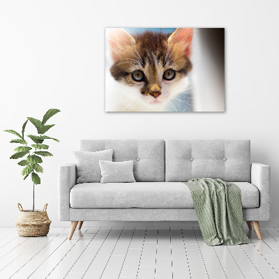 Tableau mural sur toile Petit chat