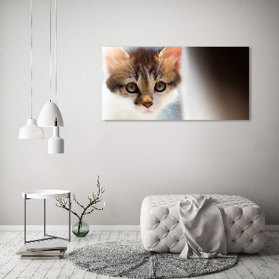 Tableau mural sur toile Petit chat