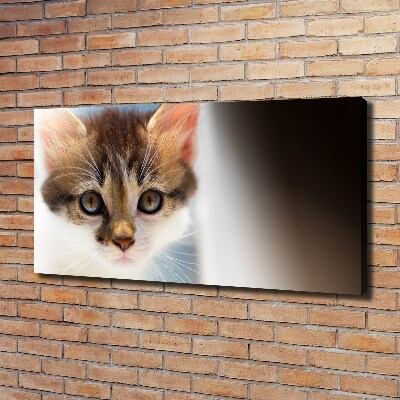 Tableau mural sur toile Petit chat