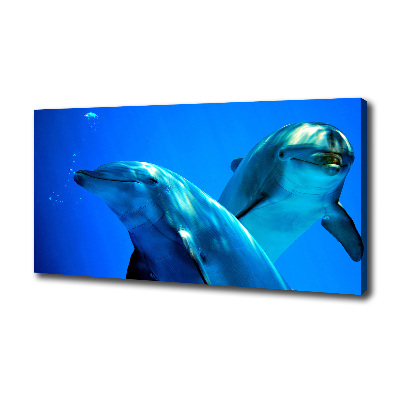 Tableau toile imprimée Deux dauphins