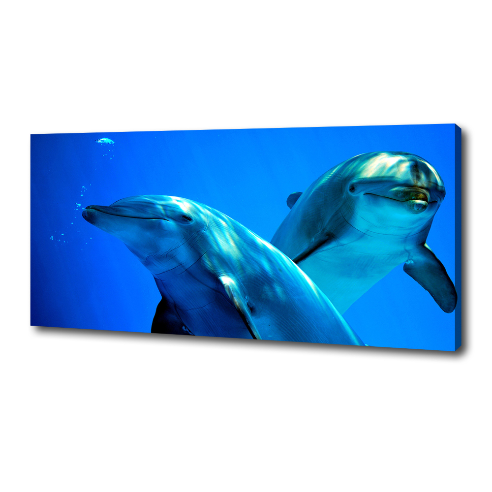 Tableau toile imprimée Deux dauphins