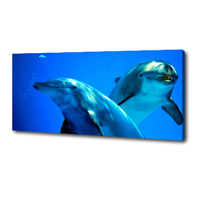 Tableau toile imprimée Deux dauphins