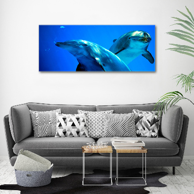 Tableau toile imprimée Deux dauphins