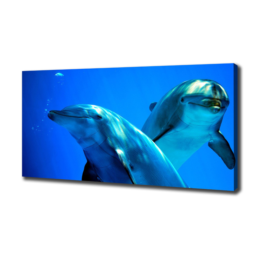 Tableau toile imprimée Deux dauphins