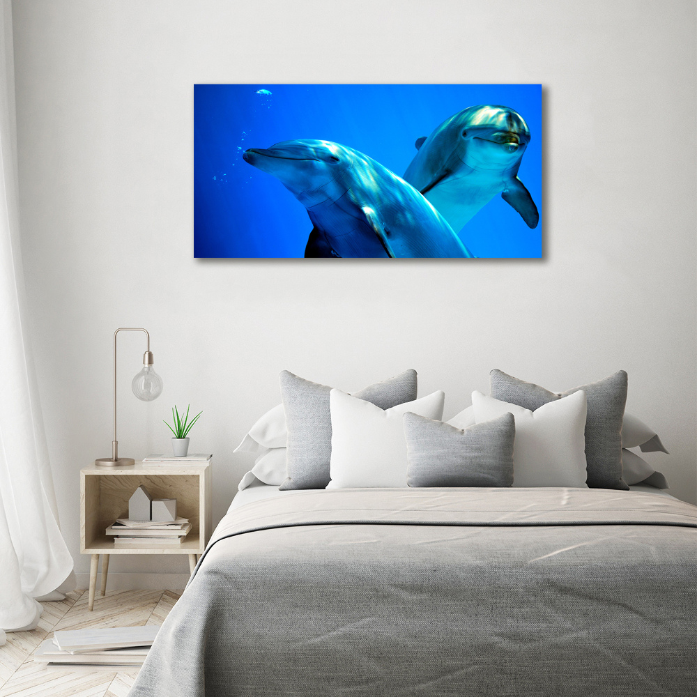 Tableau toile imprimée Deux dauphins