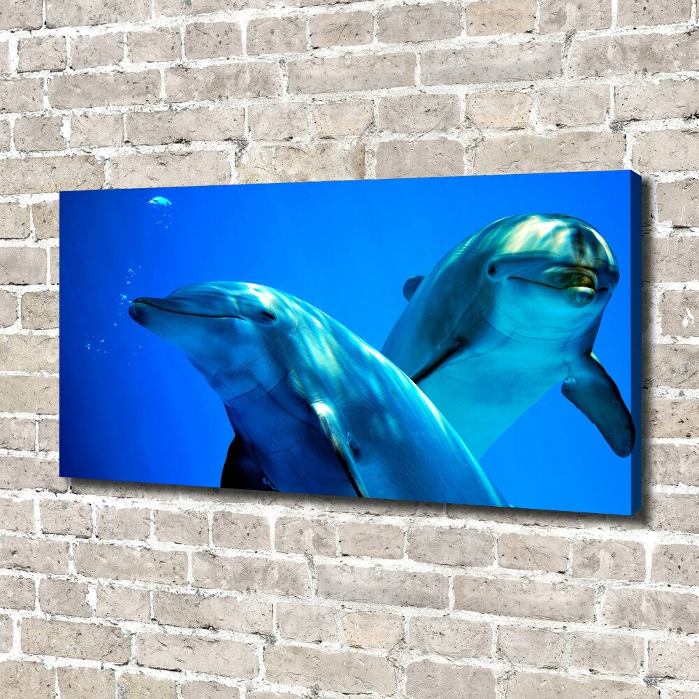 Tableau toile imprimée Deux dauphins