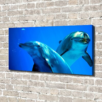 Tableau toile imprimée Deux dauphins