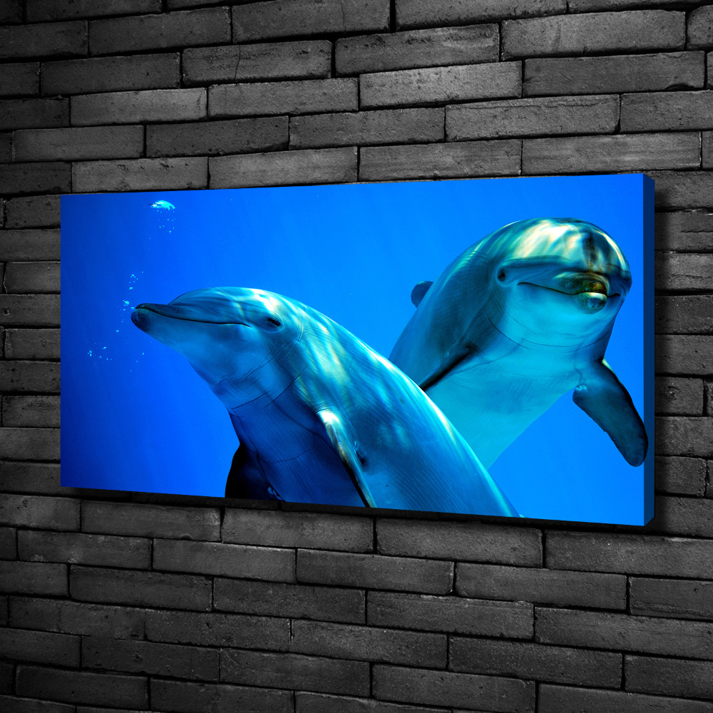 Tableau toile imprimée Deux dauphins