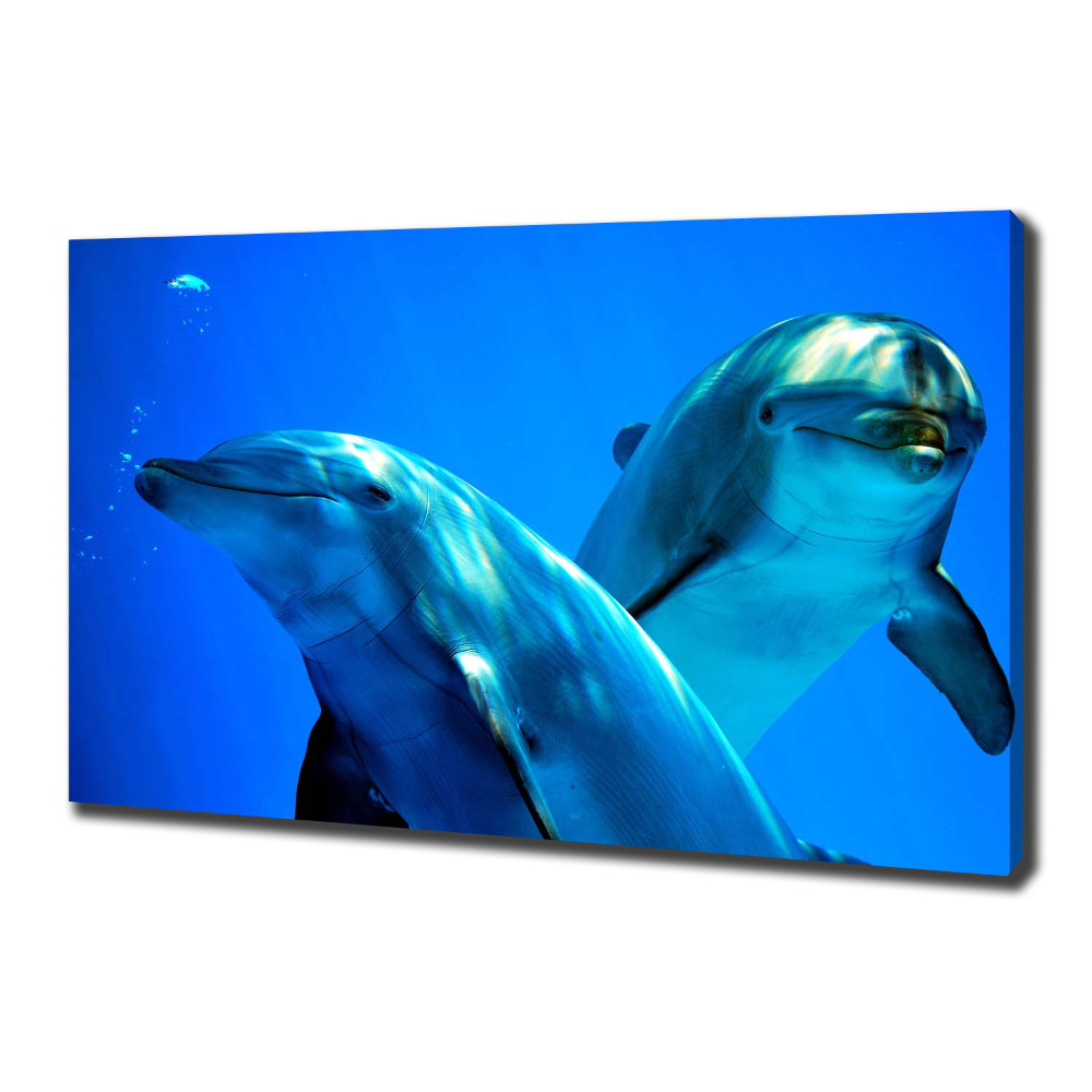 Tableau toile imprimée Deux dauphins