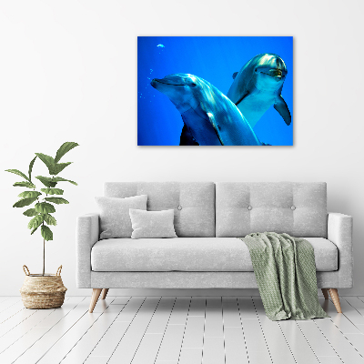 Tableau toile imprimée Deux dauphins