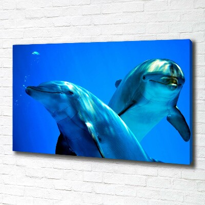 Tableau toile imprimée Deux dauphins