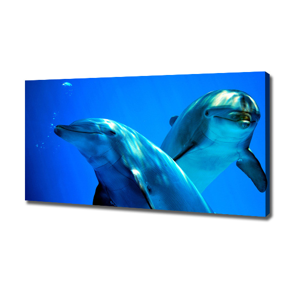 Tableau toile imprimée Deux dauphins