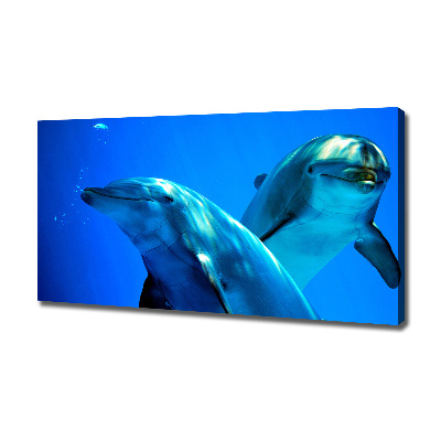 Tableau toile imprimée Deux dauphins