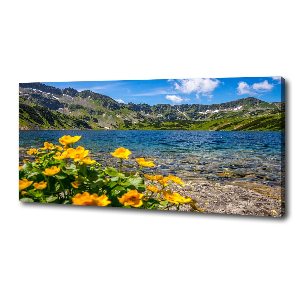 Tableau sur toile Le lac de montagne