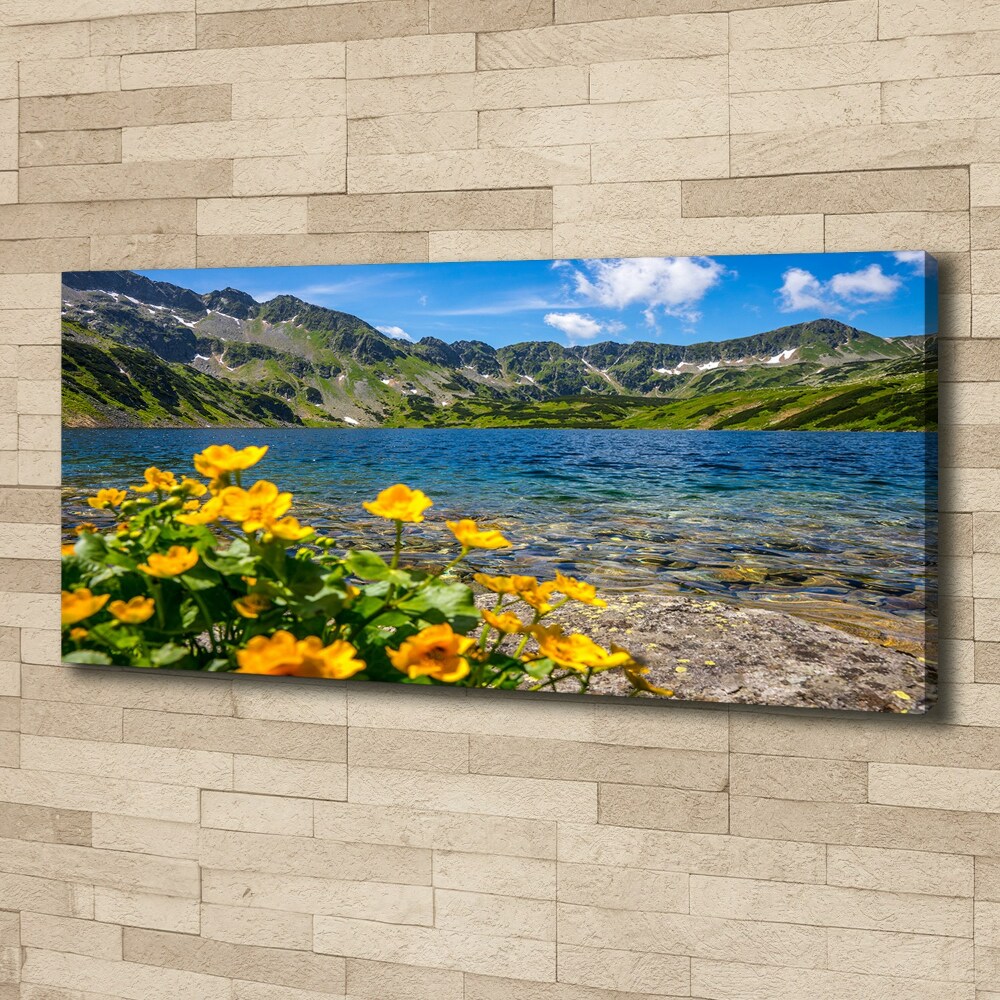 Tableau sur toile Le lac de montagne