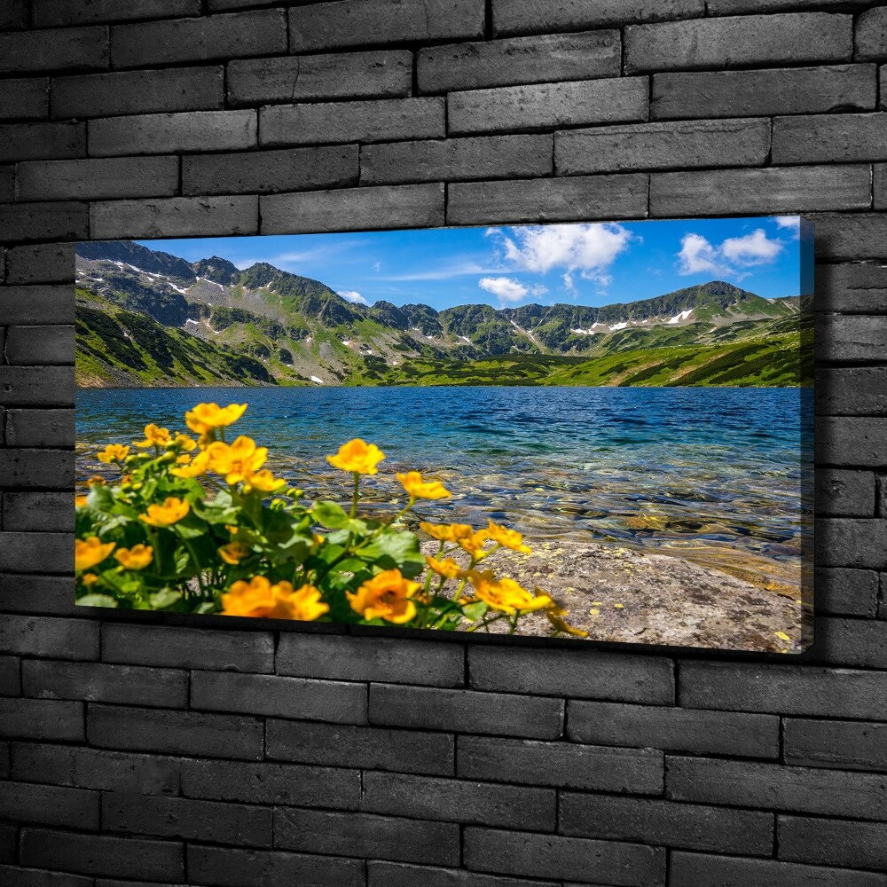 Tableau sur toile Le lac de montagne