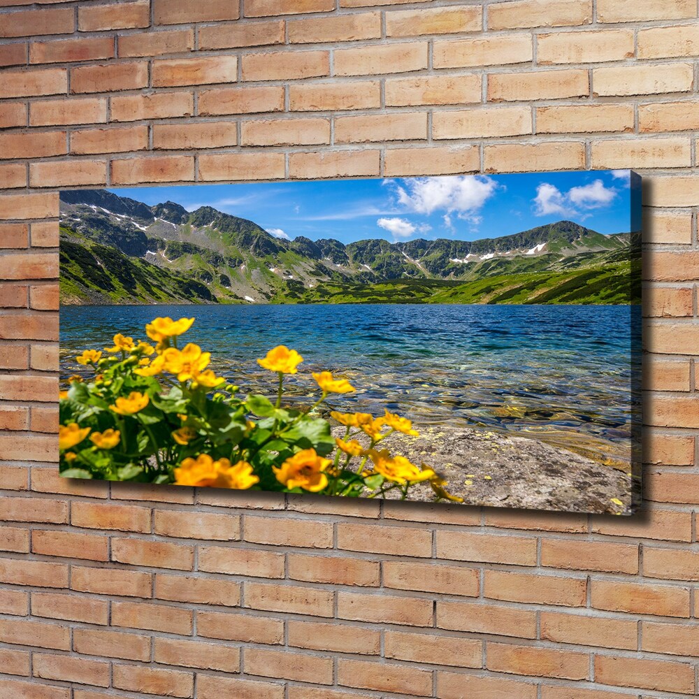 Tableau sur toile Le lac de montagne