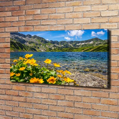 Tableau sur toile Le lac de montagne